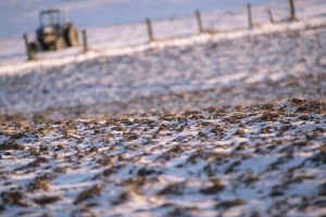 Usjevi gladni mraza - vrijeme je za nevrijeme?