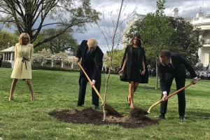 Sjećate se hrasta kitnjaka kojega su zajedno posadili Trump i Macron? Osušio se