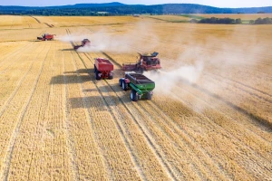 U Ukrajini raste digitalizacija agrara: 190.000 hektara pod jednim upravljanjem