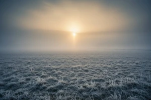 Ujutro mraz i magla, popodne oblačno sa kišom