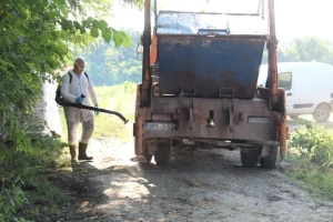 U Bijeljini traže radnike za utovar eutanaziranih svinja, poznate i dnevnice