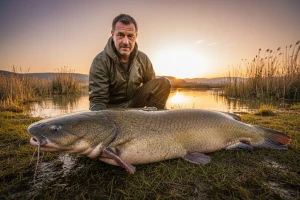 Ulovio soma teškog 91 kg i dugog 220 cm!