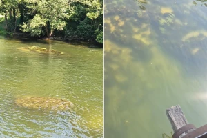 Zamućenje Une izazvalo zabrinutost: Ribolovci šalju uzorke na analizu