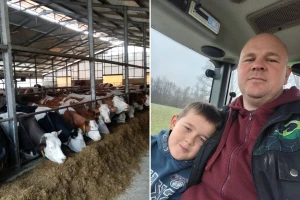 Hoće li farmeri biti prinuđeni bacati mlijeko: Đenadiji tri tone ostaju bez plasmana