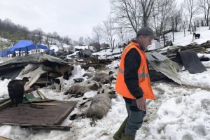 Uznemirujuće! Snijeg srušio štalu u Simin Hanu: "Nismo mogli spasiti ovce"
