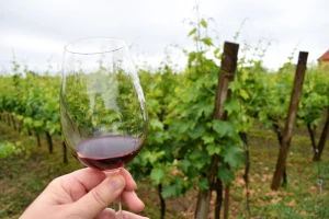 U vino dodavali šećer i vodu - među patvorenim i jedno iz BiH