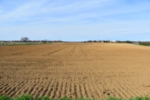 Klimatske promjene utječu i na sadržaj humusa u tlu. Kako ga zadržati?