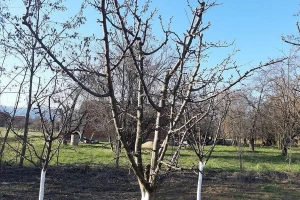 Raspisan konkurs za dodjelu koncesije na poljoprivredno zemljište