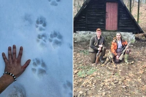 Lovci ustrijelili vuka na Ozrenu - njegova populacija mora biti pod strogim nadzorom