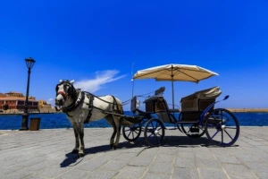 Putuje Evropom na zaprezi sa kozom i kokošima!