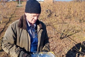 Mirko po Evropi vozi kamion, a u Laktašima podigao zasad lješnika za penzionerske dane